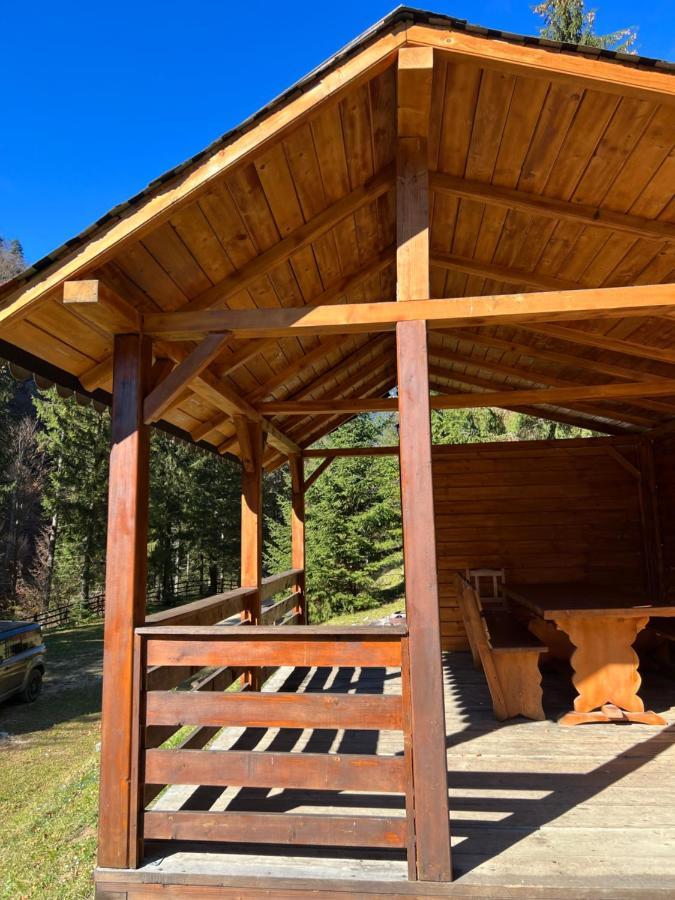 Cabana Caprioara - Piatra Craiului Dîmbovicioara المظهر الخارجي الصورة