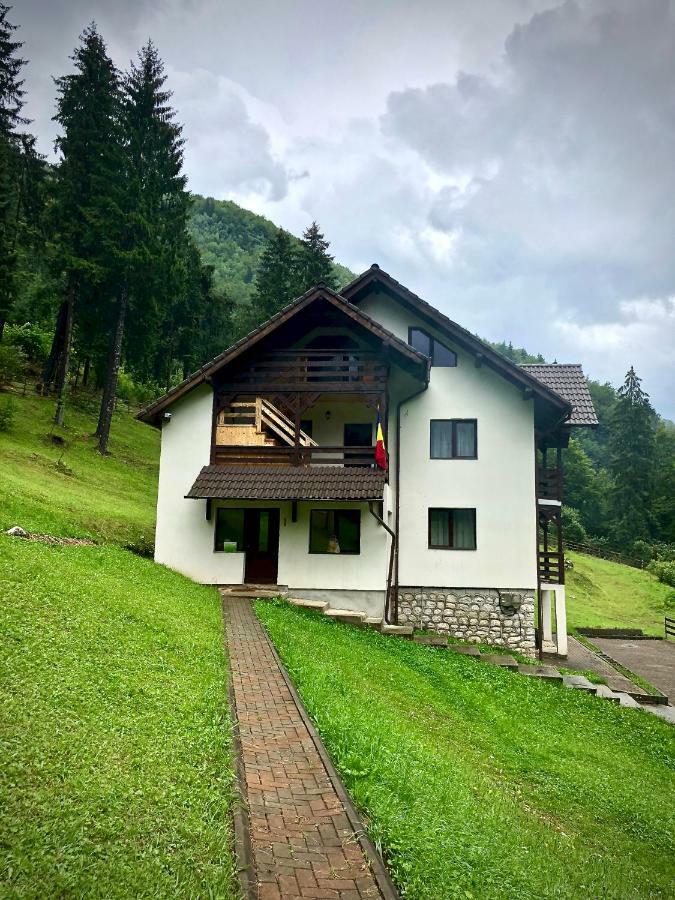 Cabana Caprioara - Piatra Craiului Dîmbovicioara المظهر الخارجي الصورة